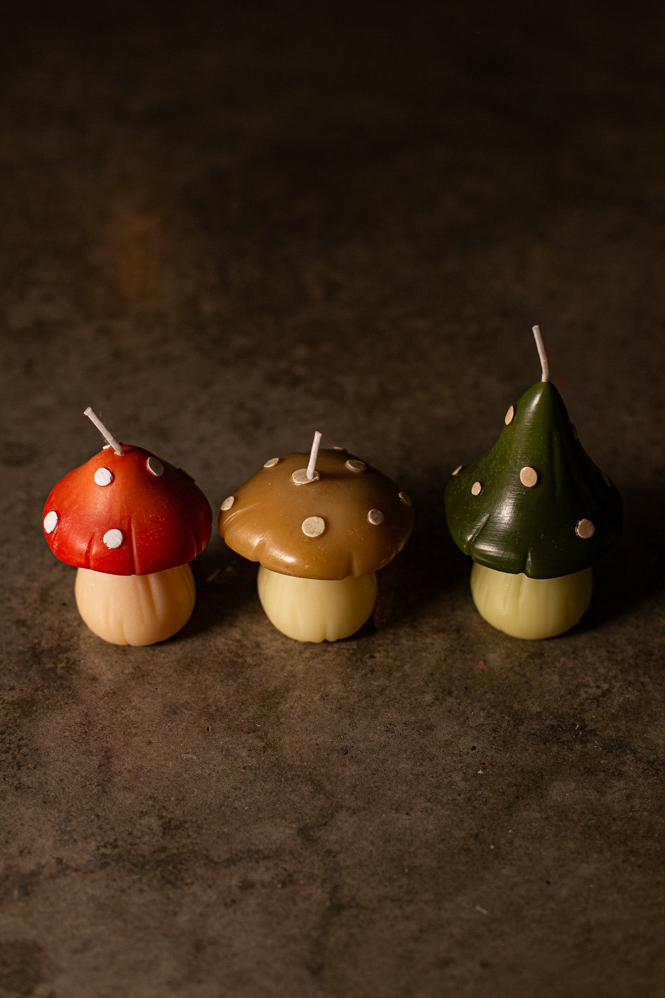 Hongos