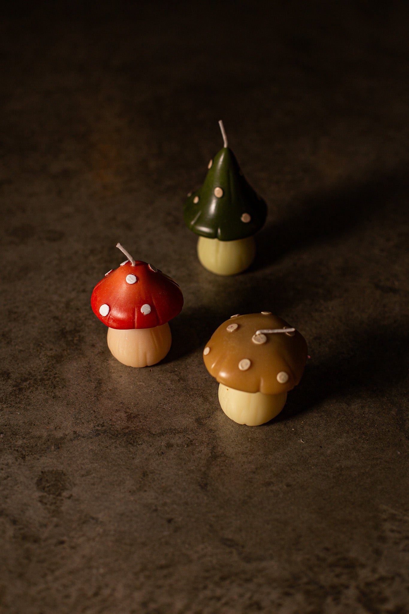 Hongos